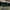 TITLEIST PRO V1 VISOR photo 2