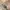 Carhartt Streetwear Grunge Pria brown photo 8