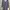 Mididress Blue