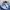 Lee Streetwear Casual High waisted jeans Wanita blue photo 4