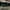 TITLEIST PRO V1 VISOR photo 2