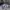 Nik* SB dunk yeezy low Royal Blue  photo 4