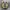 WTAPS x New Balance 992 Grey Olive Drab photo 1