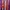 Jersey Nogizaka46 2018 Name Set Ikuta Erika Original Size L photo 4