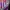 Jersey Nogizaka46 2018 Name Set Ikuta Erika Original Size L photo 5
