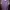 Jersey Nogizaka46 2018 Name Set Ikuta Erika Original Size L