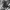 BAGGY Y2K EMBA BIG MULTI POCKET photo 2