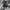 BAGGY Y2K EMBA BIG MULTI POCKET photo 1