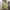 Sportswear Track Jacket Pria Yellow