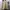 Sportswear Track jacket Pria yellow photo 4