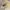Acme De La Vie  Vintage Casual Hoody Pria yellow photo 6