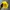 Skater Hat Wanita yellow photo 5