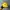 Skater Hat Wanita yellow photo 1