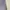 Burberry Vintage Casual T-shirt Pria gray photo 6