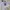 Nike Vintage Casual Jersey Pria white photo 2