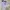 Nike Vintage Casual Jersey Pria white photo 1