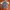 Tractop Umbro photo 2