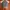 Tractop Umbro photo 1