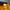 Skater Hat Pria yellow photo 6