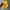 Skater Hat Pria yellow photo 4