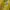 Jersey Brazil photo 2