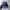 Skater Hat Pria Navy