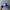 Vintage Hat Pria blue photo 1