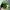 Vintage Hat Pria green photo 5