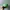 Vintage Hat Pria green photo 3