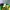 Vintage Hat Pria green photo 6