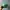 Vintage Hat Pria green photo 4
