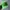 Vintage Hat Pria green photo 2
