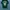 nfl Miami dolphin  photo 3