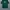 nfl Miami dolphin  photo 1