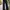 Longpants dickies black slim fit photo 1