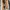 Clarks Casual Loafer Pria brown photo 5
