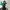 Y2K Cosplay Pria multicolor photo 1