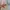 Y2K POWEL BIG POCKET photo 4