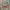 Y2K POWEL BIG POCKET photo 3
