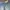Levis 501 photo 2
