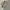 Zip hoodie uniqlo sherpa grey photo 2