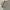 Zip Hoodie Uniqlo Sherpa Grey