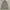 Zip Hoodie Uniqlo Sherpa Grey