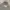 The north face grey hooded photo 1