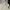 Carhartt essentials bag small  photo 4