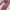 Sportswear Casual Legging Wanita pink photo 2