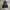 JAPANESE POEM GRIGRI ZIP HOODIE photo 1