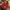 MnM Big Logo Red Sweatshirt photo 2