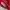MnM Big Logo Red Sweatshirt photo 6