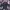 Wol Coat New Yorker